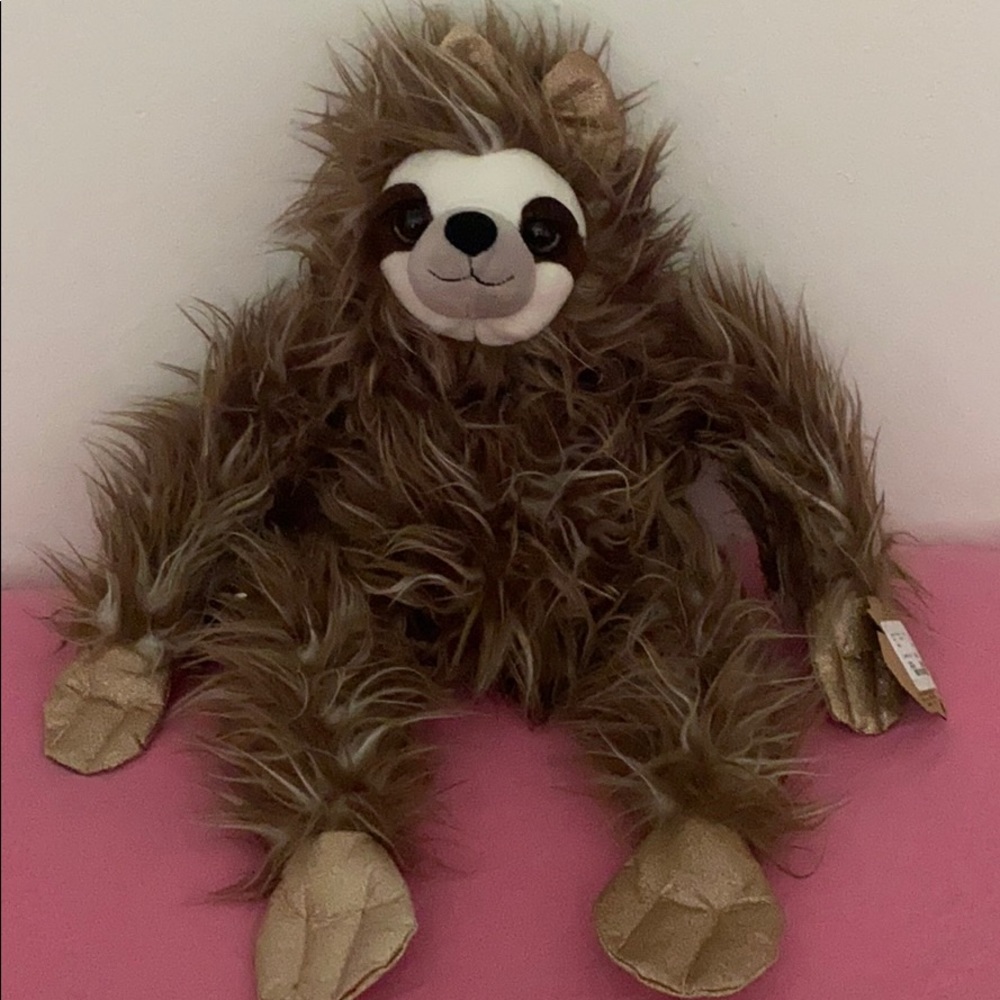 A cute sloth